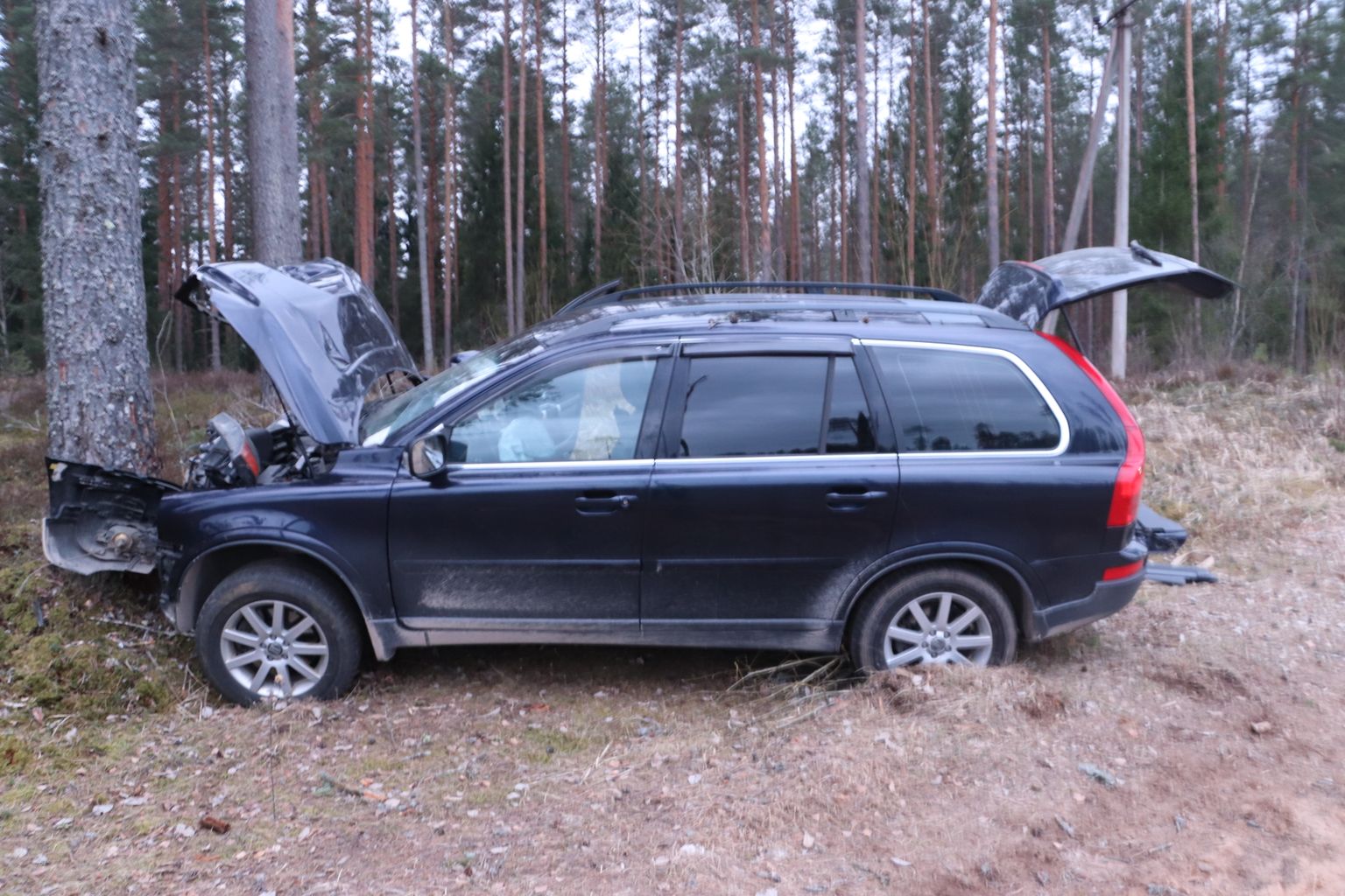 Volvo teekonna lõpetas teeäärne puu.