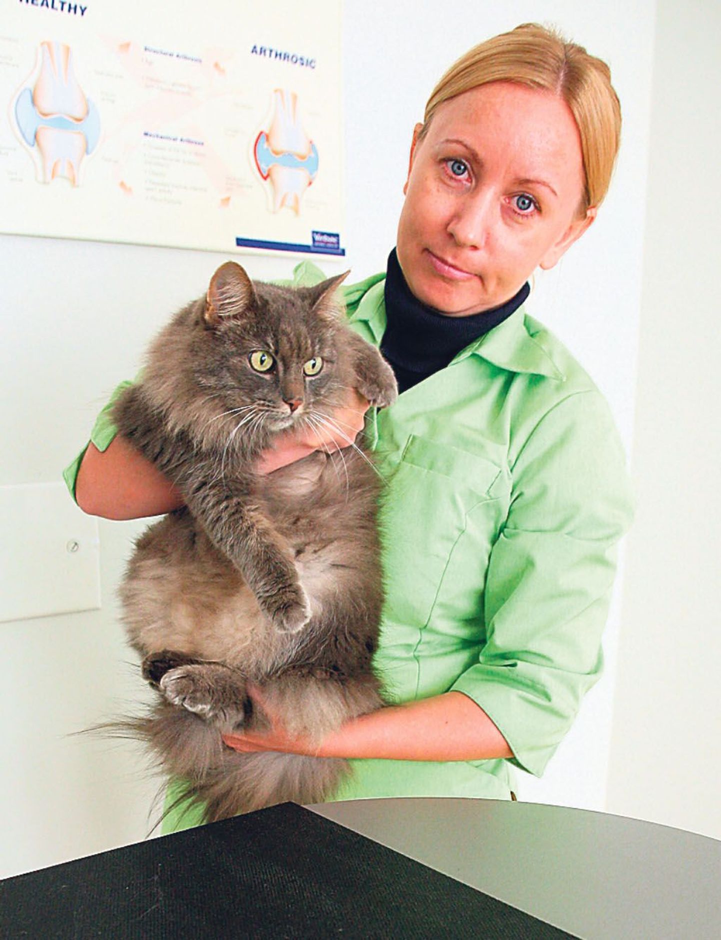 Veterinaararst Katrin Idvani raputab iga päev oma kassi toidule pisut hambaid puhastavat pulbrit ja soovitab seda teha teistel kassiomanikelgi.