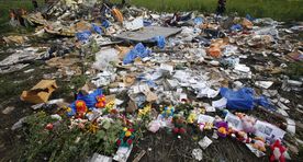 Родственники жертв катастрофы MH17 увидят последние часы их жизни