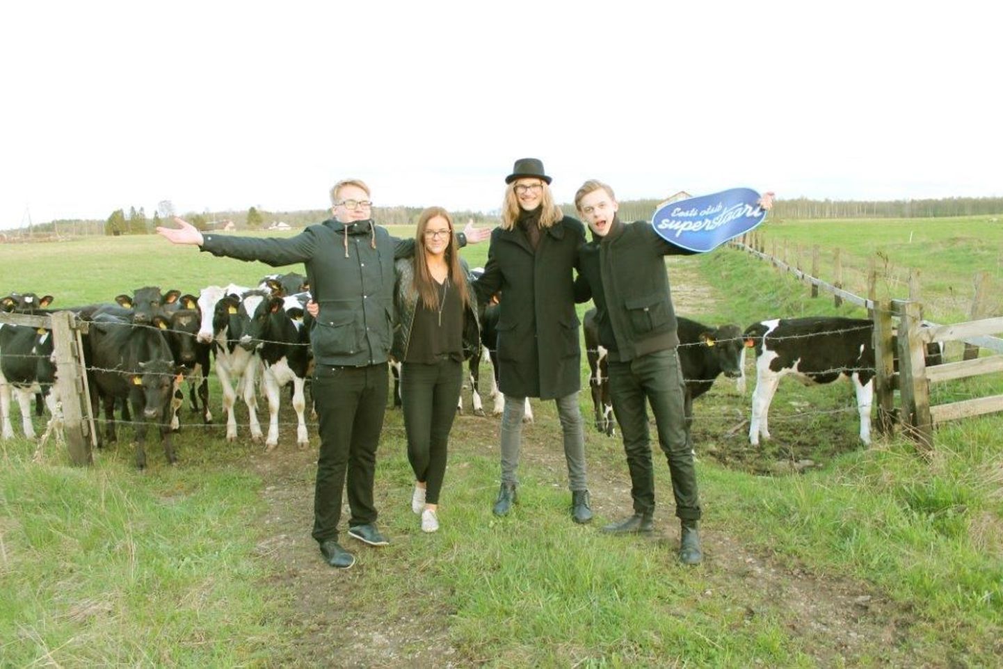 Superstaarisaate finalistid üllatasid lehmi kodumaise hitiga