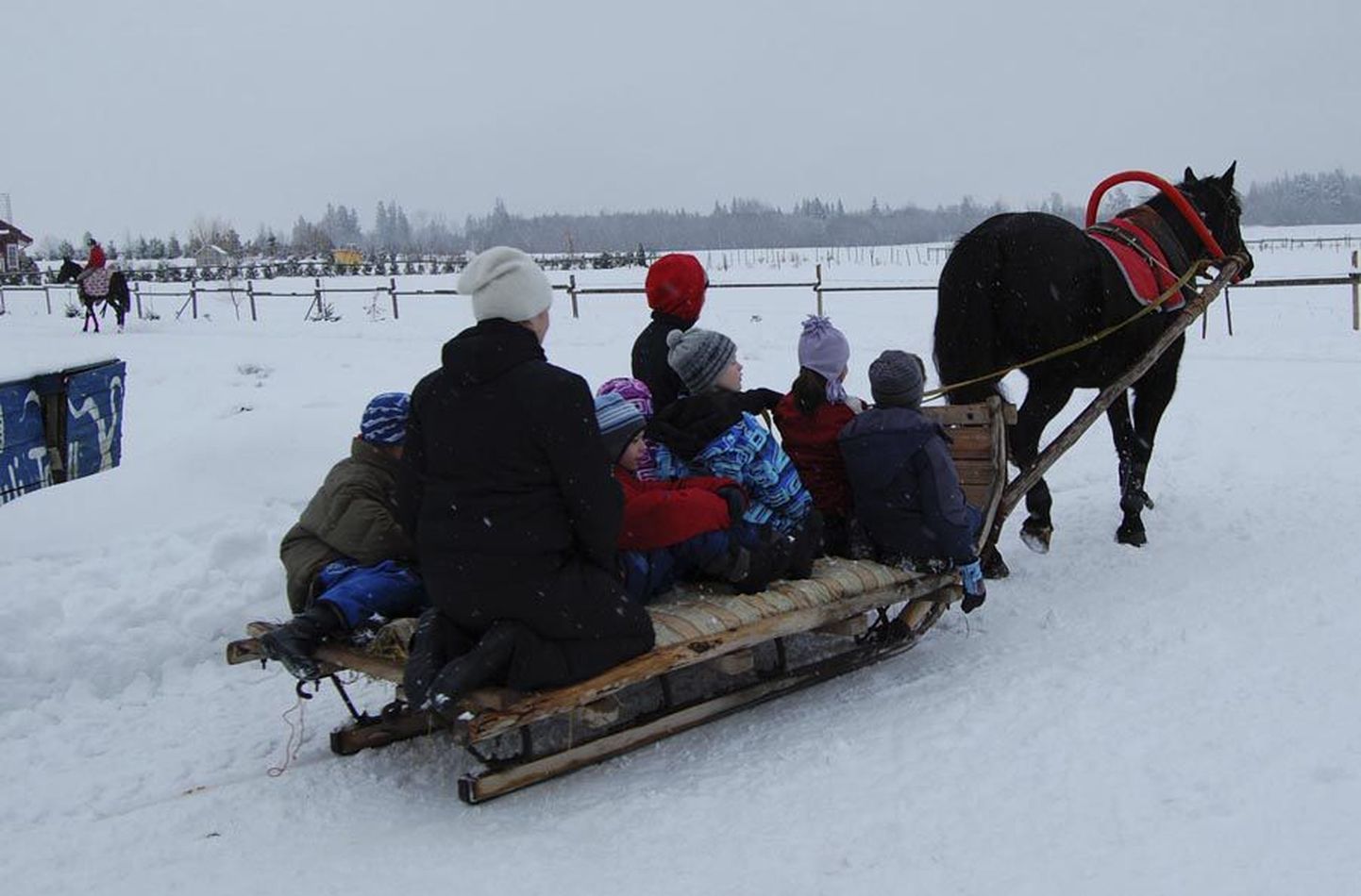 Peale paari kilomeetri pikkuse saanisõidu said lapsed hobuseid silitada ja toita ning koertega lumes hullata.