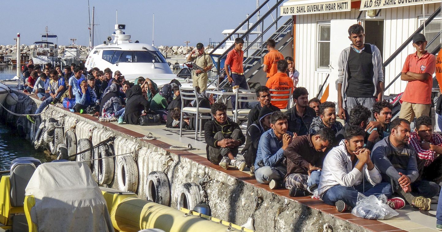Migrandid Türgis.