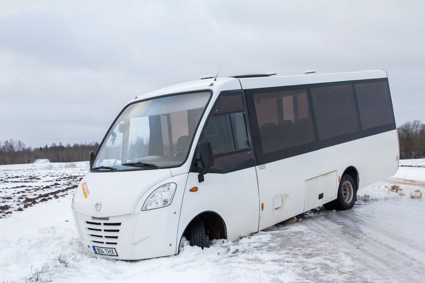 Viimastel nädalatel on nii mõnigi buss jäiselt teelt kraavi sõitnud, kuid naelrehve bussidel Eestis peaaegu ei kasutata.