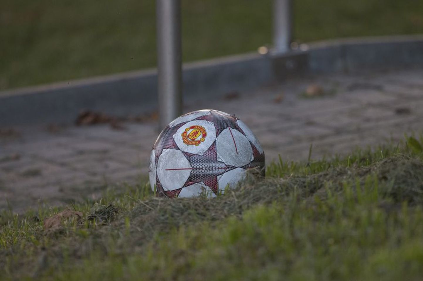 Viljandi Tuleviku jalgpallimeeskonna mängija Raido Romani reedel löödud iluvärav on pälvinud meedia tähelepanu üle maailma.