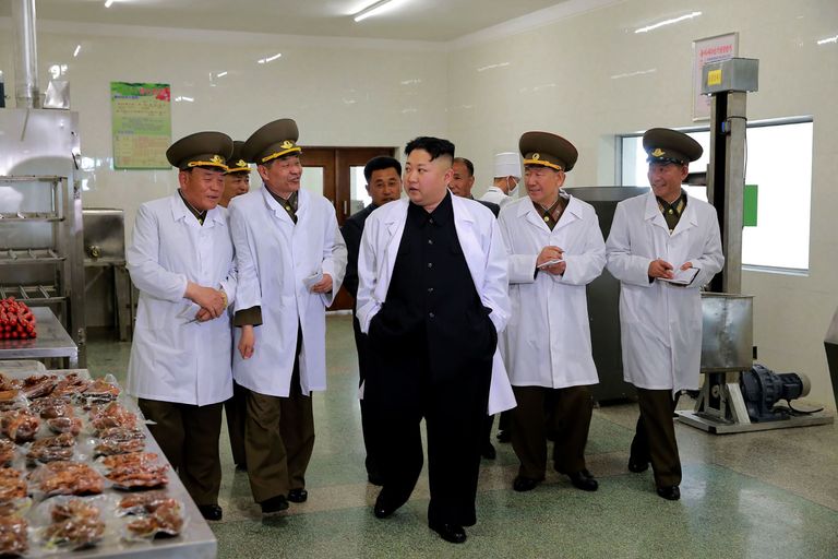 Kim Jong-un Põhja-Korea õhujõudude seafarmis ja tapamajas