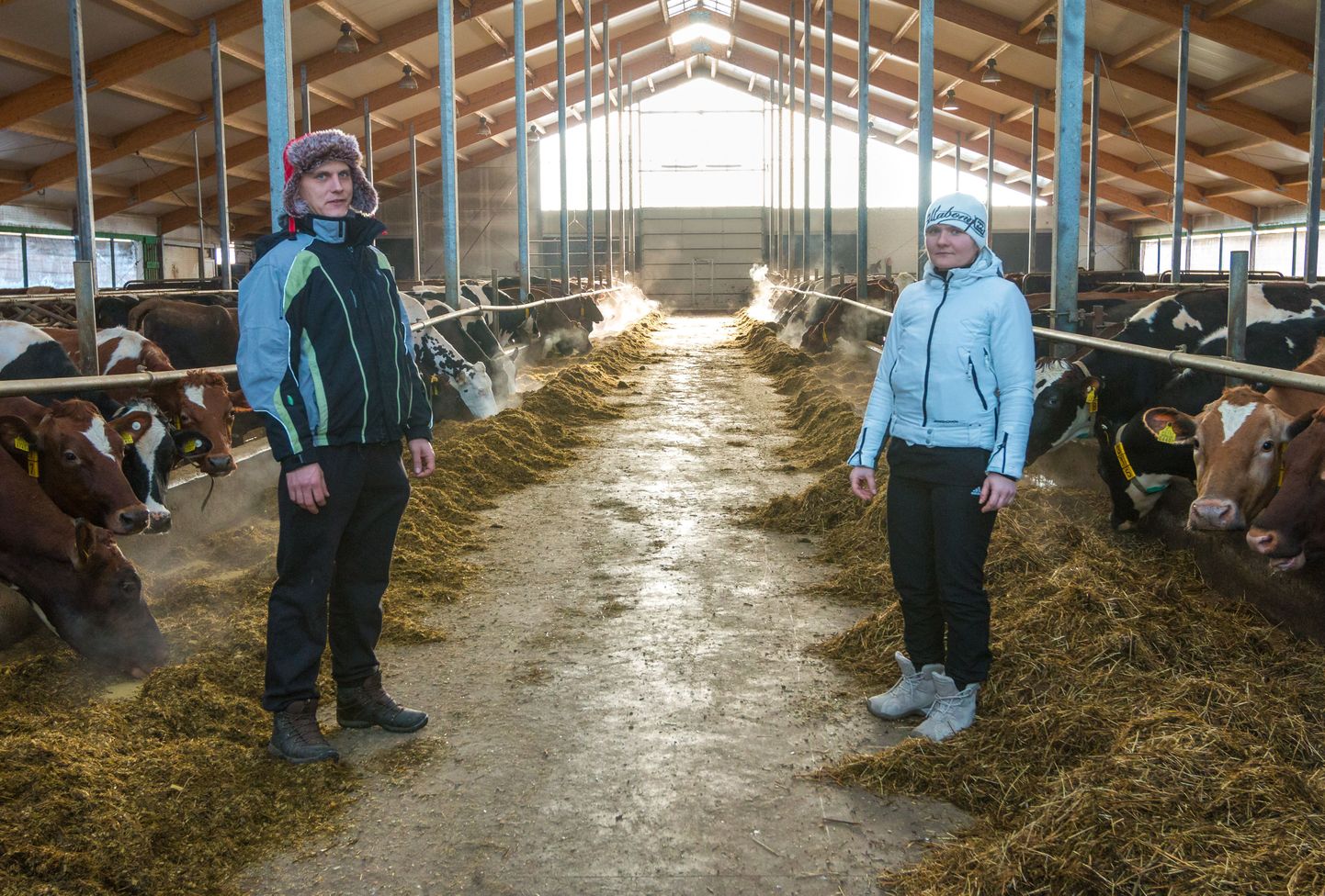 Kui Lauri Kõressaar ja tema õde Triinu 2009. aastal oma vanemate piimafarmi üle võtsid, langetasid nad otsuse ehitada toetuse eest tänapäevane piimalaut, mis majutab nüüdseks ligi 300 lüpsilehma.