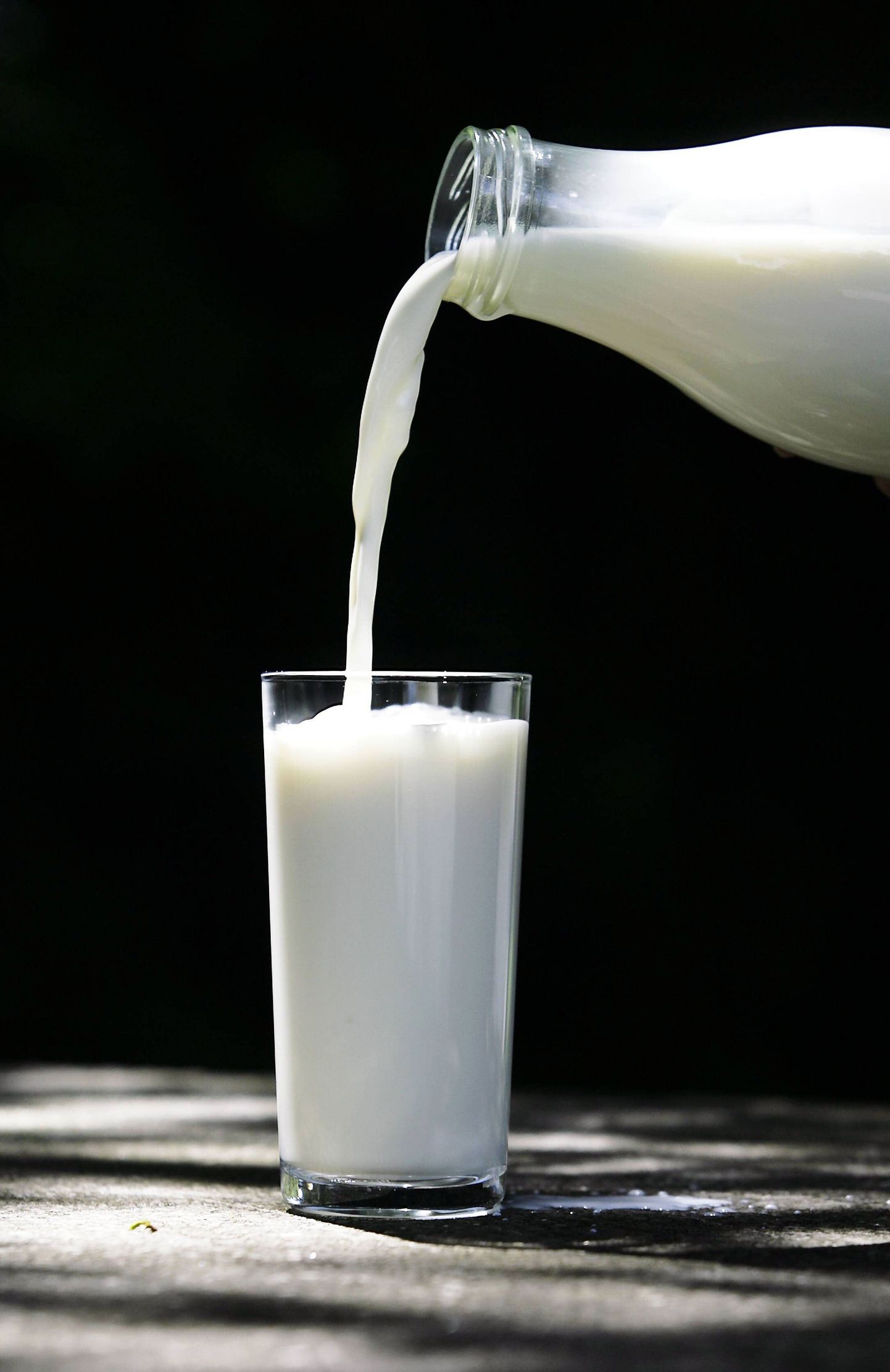 Rasvast piima joovad lapsed on kõhnemad