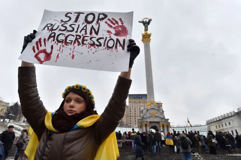 Tütarlaps Maidanilt loosungiga, mis palub peatada Vene agressioooni.