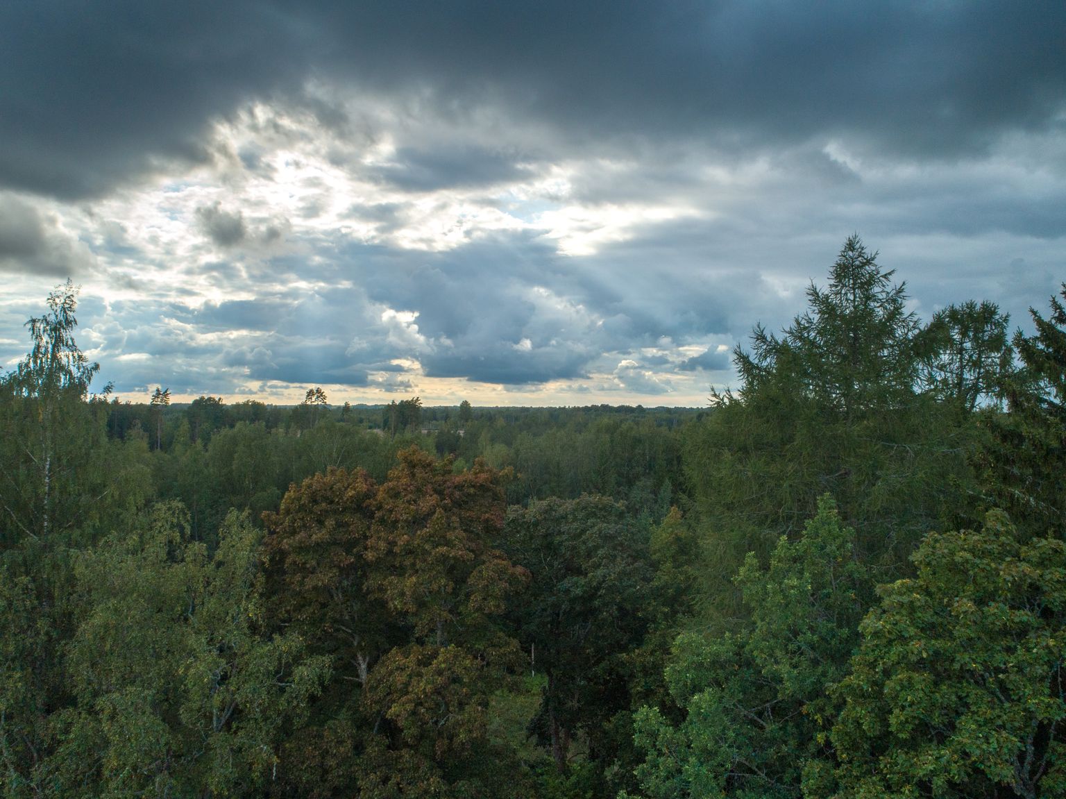 Eestimaa taevas.