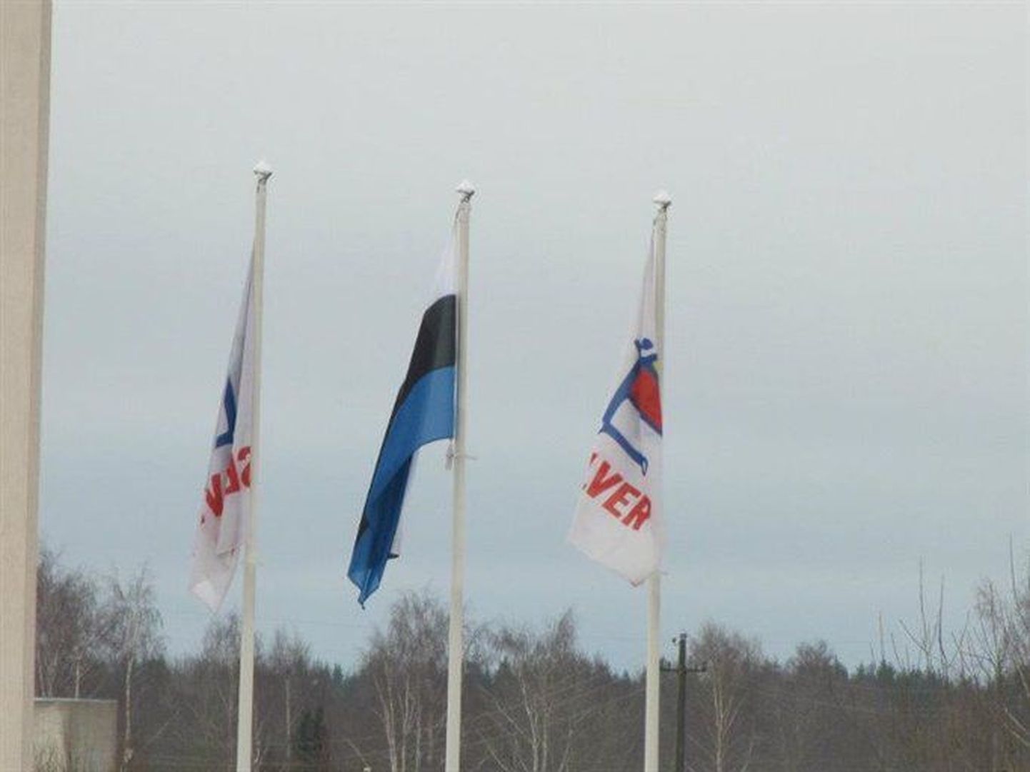 В День независимости Эстонии Keila Selver повесил «вверх ногами» государственный флаг