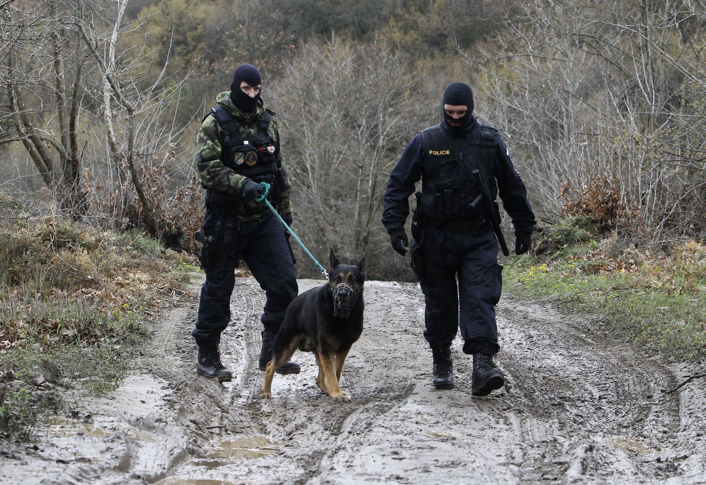 Tšehhi politseinikud piiri peal patrullimas.