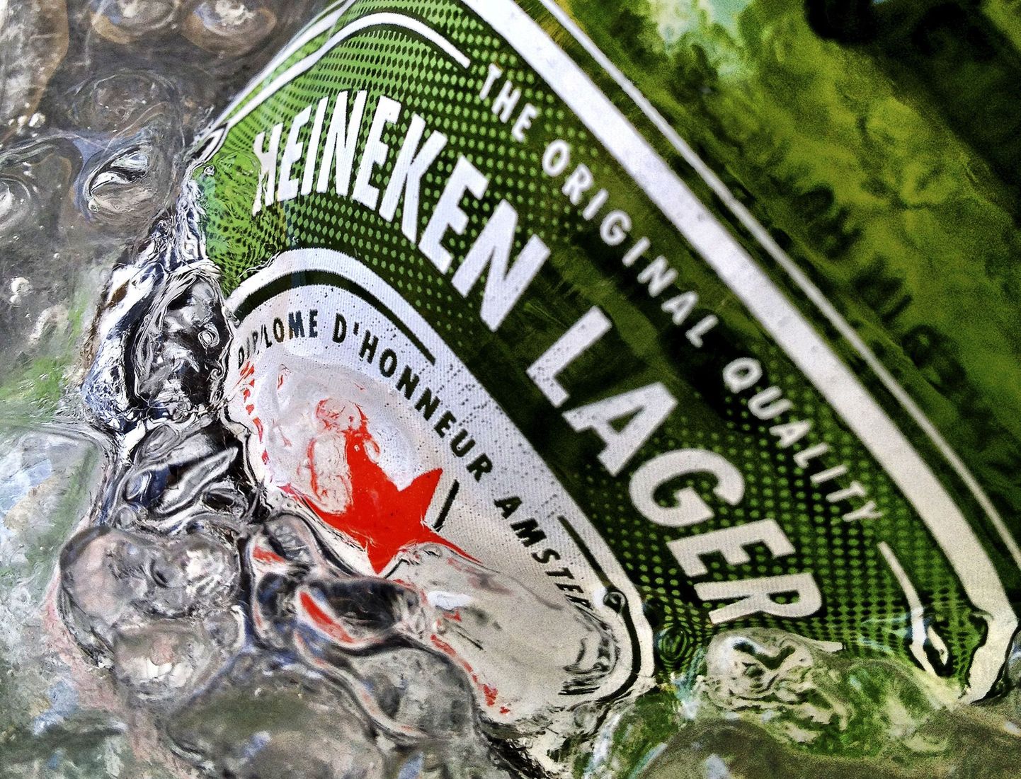 Heinekeni pudel