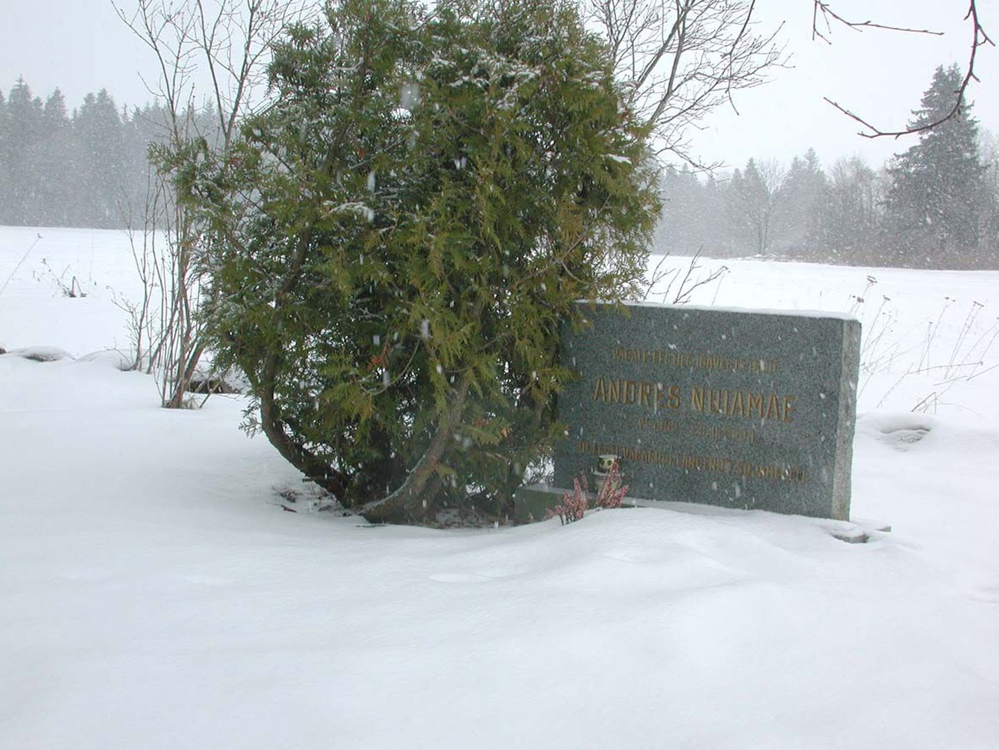 Nooremseersant Andres Nuiamäe haud asub kodukohas Järva-Madise vanal kalmistul.