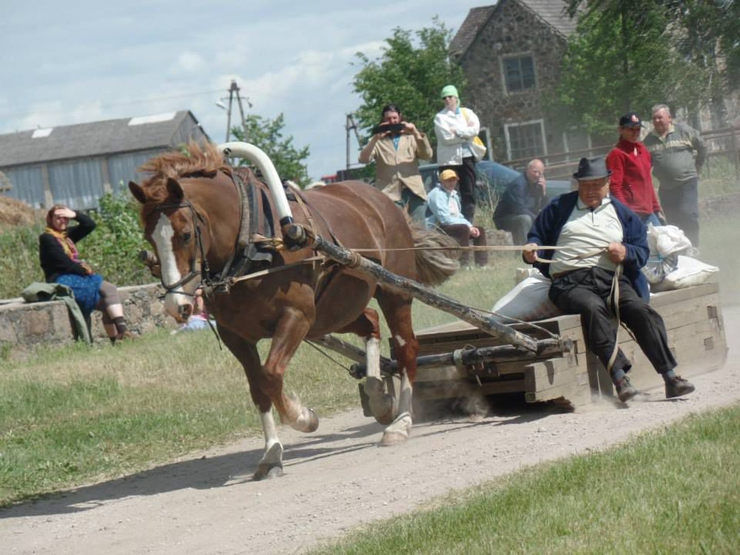 Peeter Nurmik võistlemas veo- ja sõidukatsetel hobusega Ame