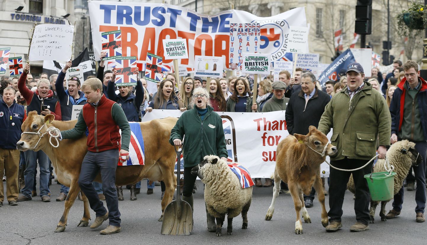 Briti talupidajate meeleavaldus tänavu märtsis, kus nõuti valitsuselt rohkem toetusi.