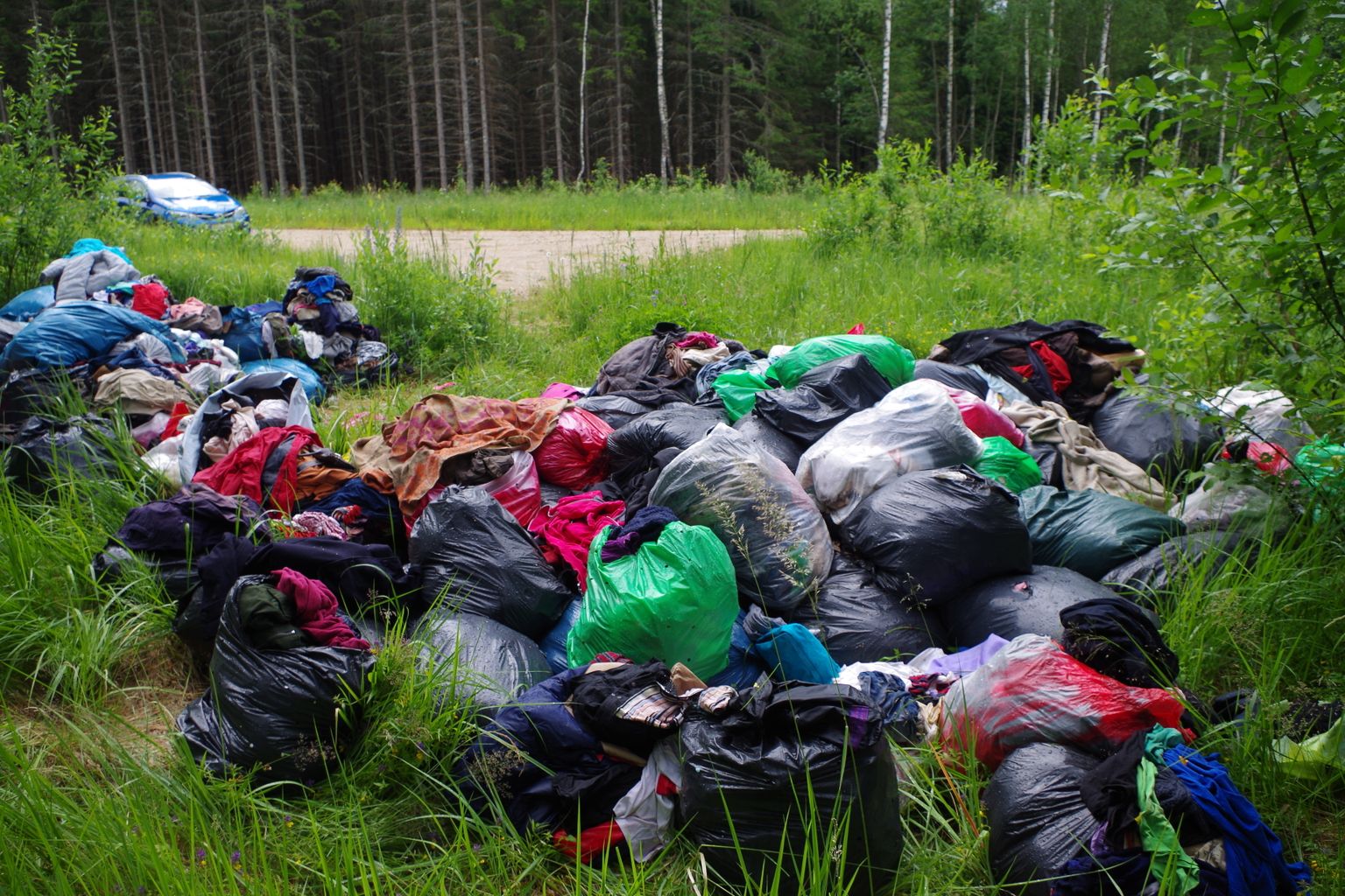 Illegaalne riideprügila Võrumaa metsas.