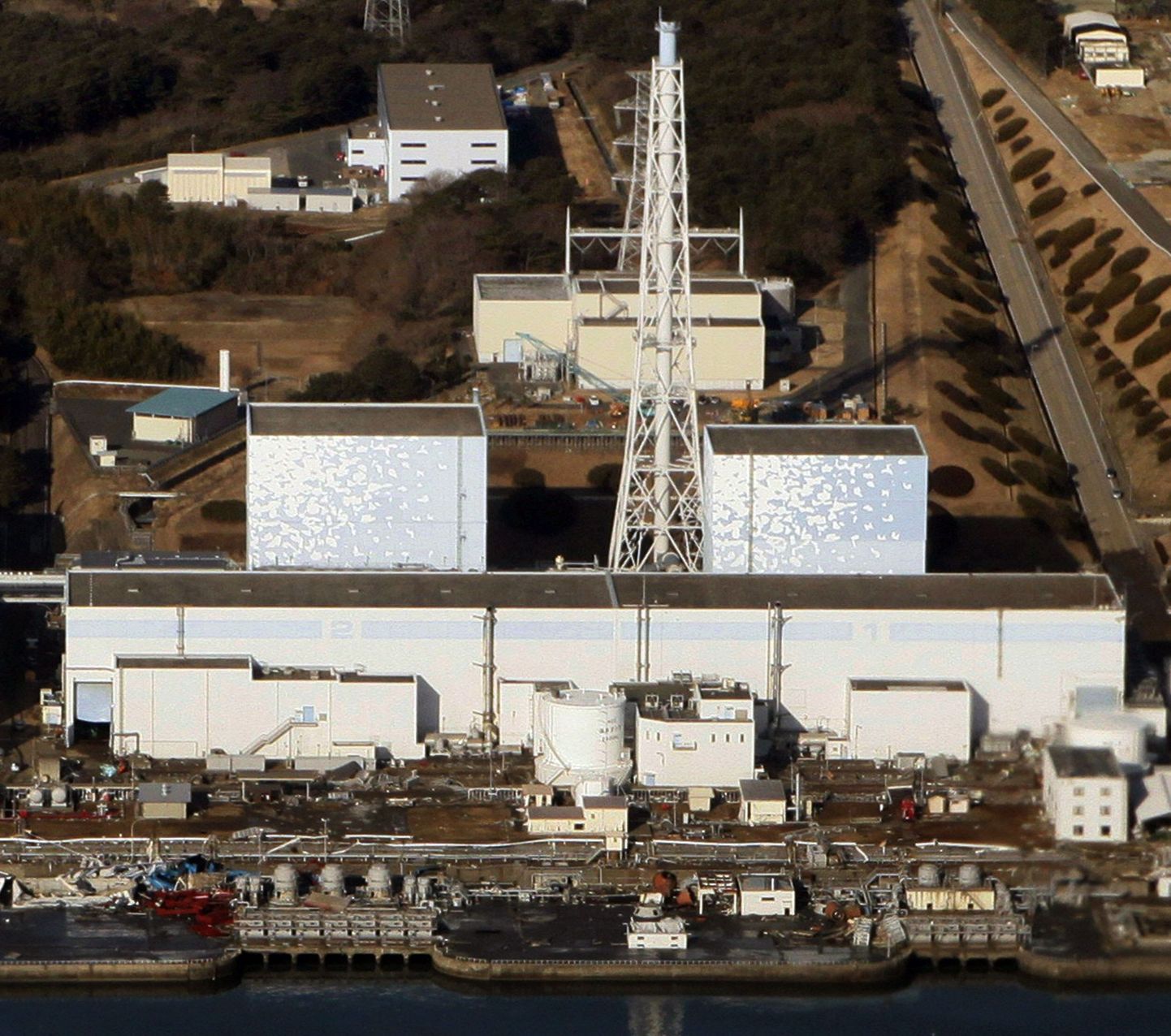 Fukushima tuumajaamast pärit radioaktiivset joodi leiti California vetikatest