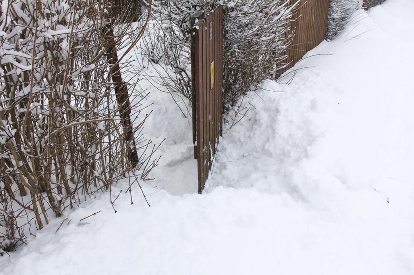 Eile oli Viljandi Kauge tänav 17 kinnistuga piirnev kõnnitee paksu lumekihi all.