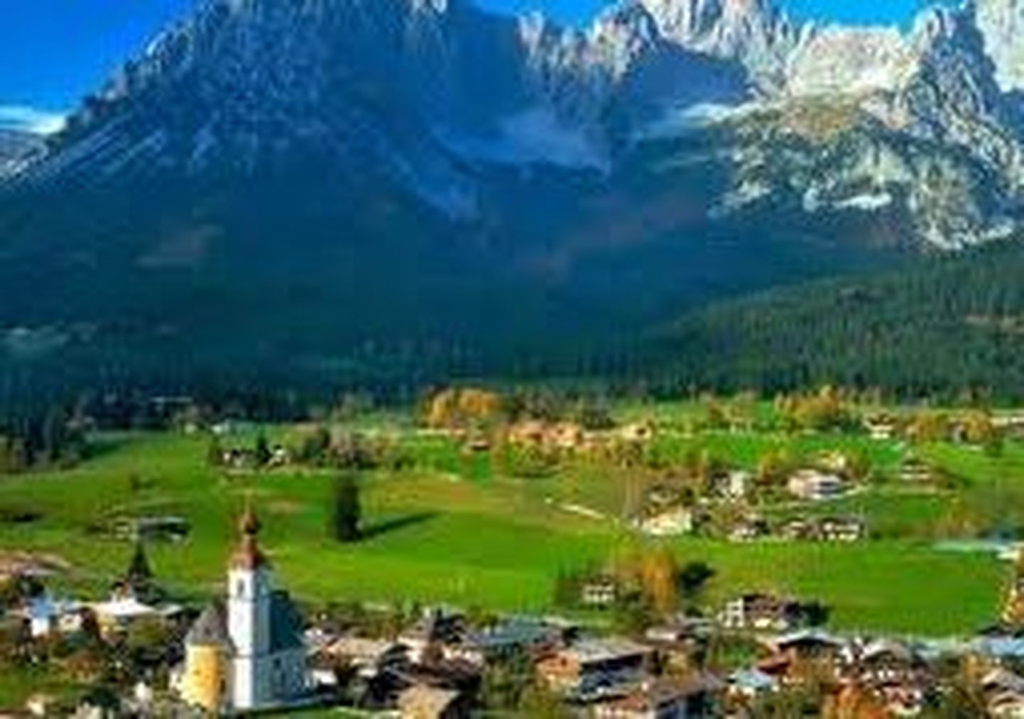Austrias on müügis kaks mäge