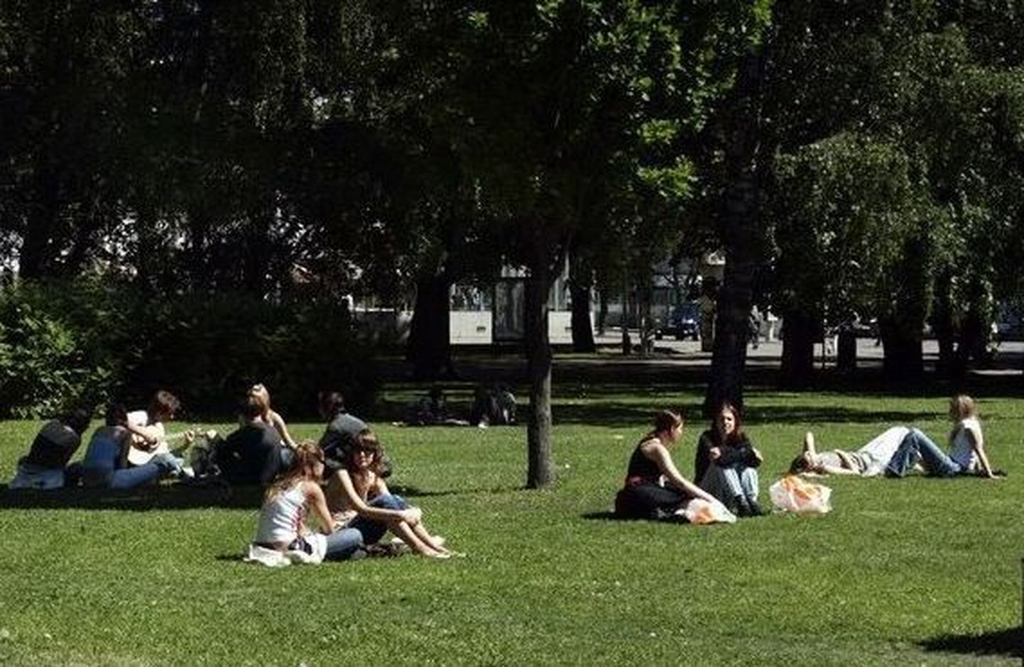 Tammsaare park meelitab soojadel ilmadel noori murule istuma.