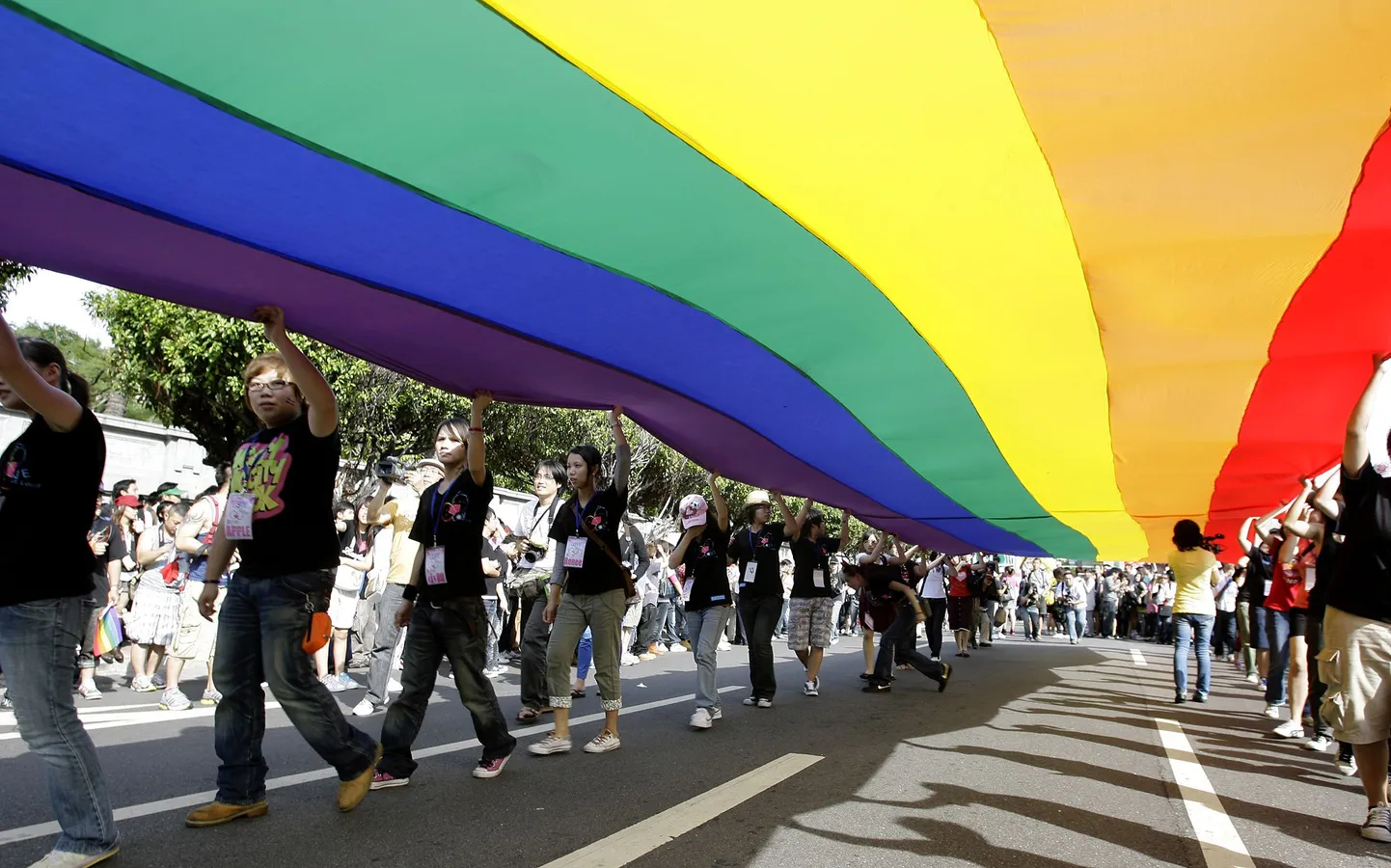Vikerkaarevärvides lipp sümboliseerib homode võrdseid õigusi.