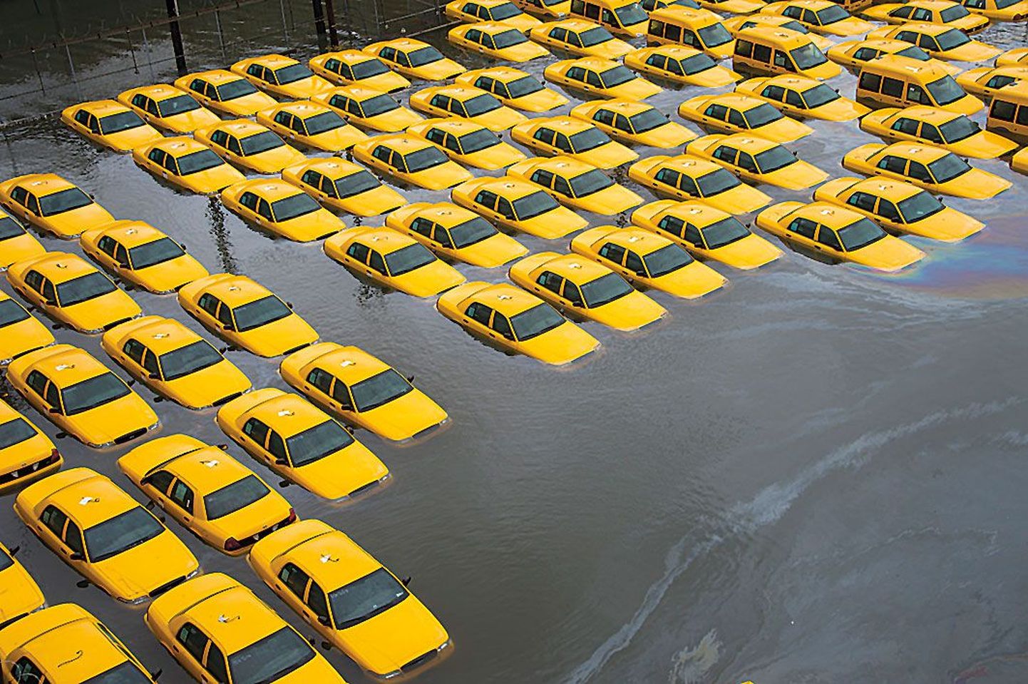 Машины такси под водой. Иллюстративное фото.