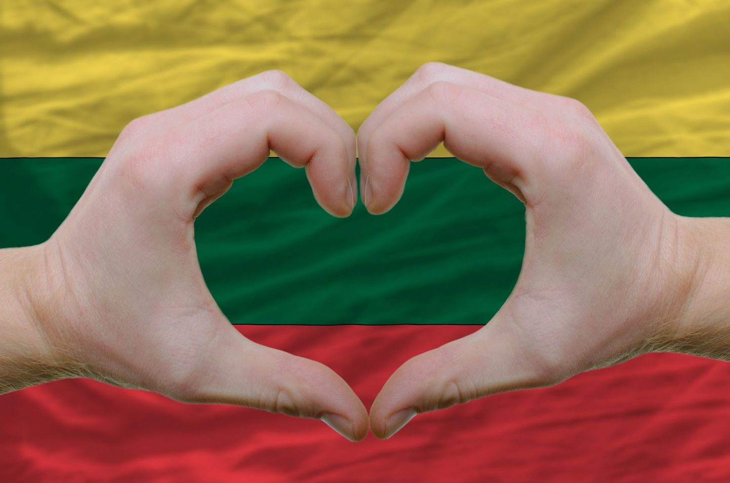 Südameke, mille taustal on Leedu lipp
