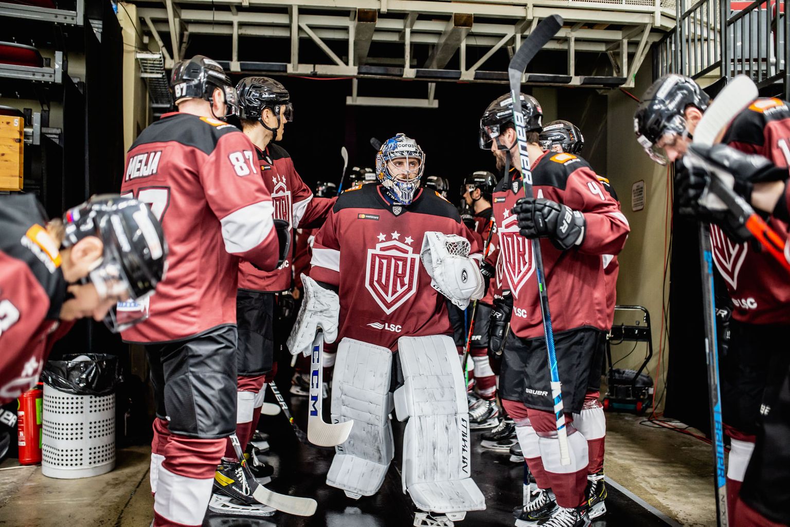 Rīgas "Dinamo" hokejisti
