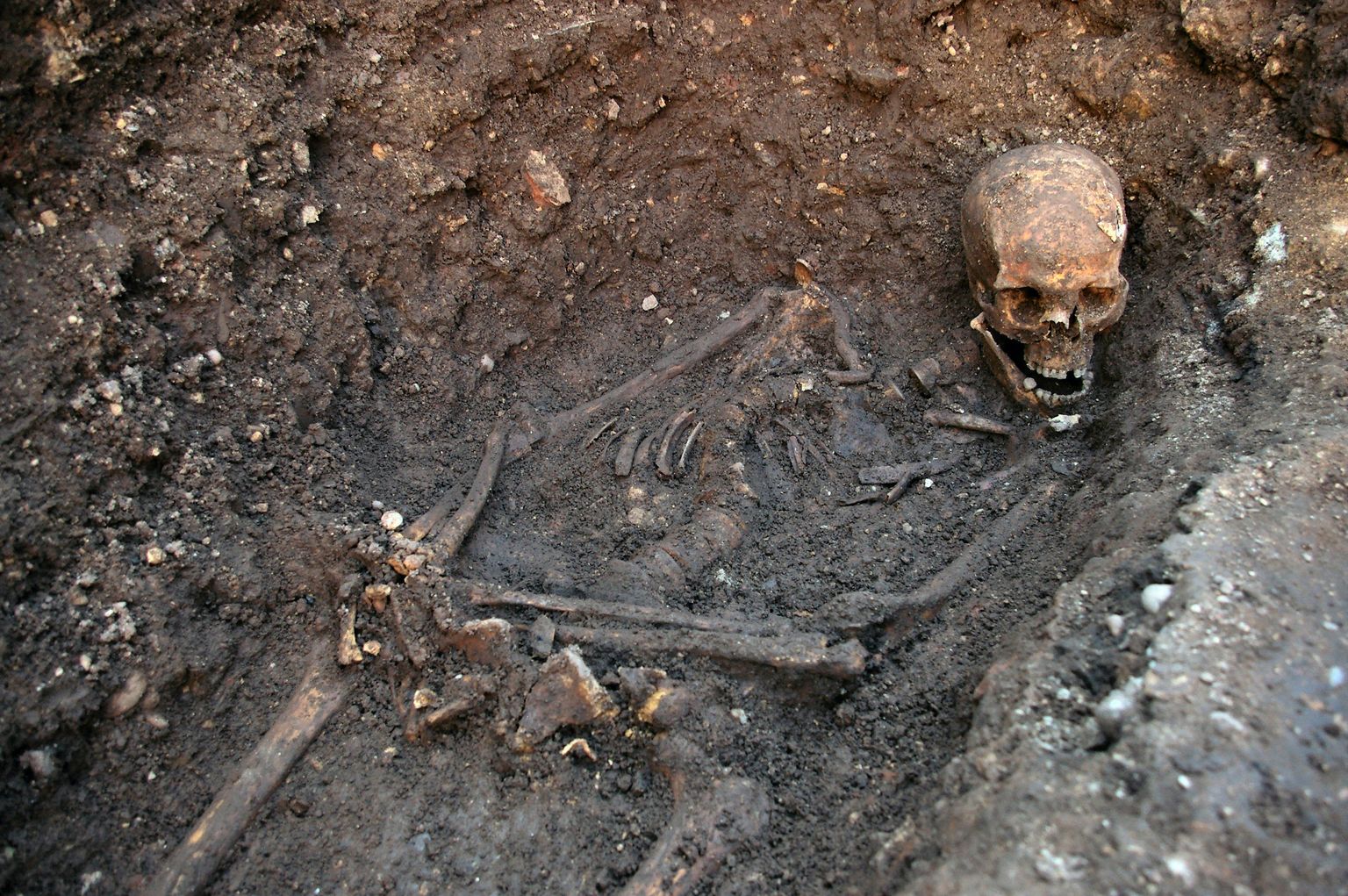 Richard III jäänused
