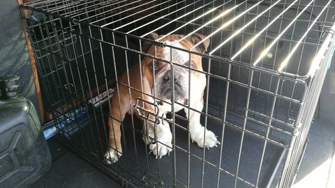  ��������� �������� ���������� �������� ����� ������� ��������� ���� 