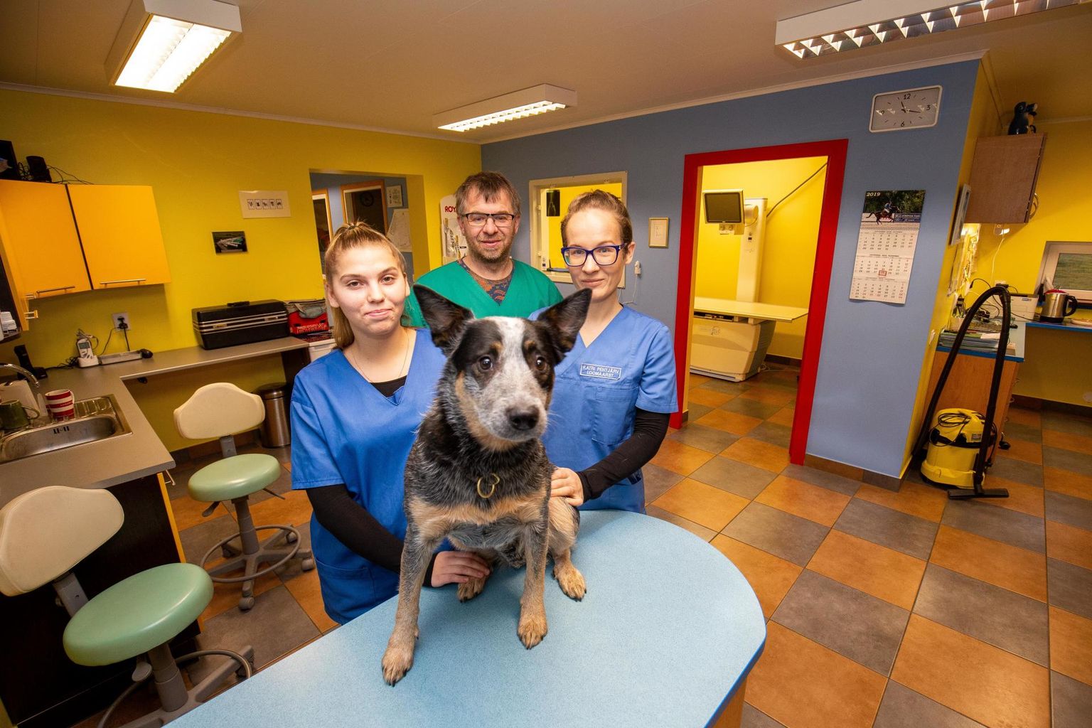 Jüripoja loomakliinik Järva- ja Lääne-Virumaa piirialal kulgeb omas rütmis. Fotol loomaarst ja omanik Joel Jürisson, loomaarst Katri Pentjärv (prillidega), loomaarsti abiline Laura-Liisa Vaigurand ja Austraalia karjakoer Chena.