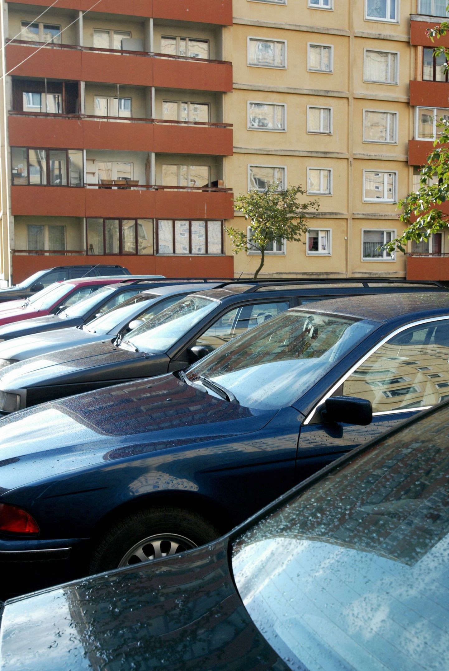 Annelinna suurte kortermajade ümbruses tekitab parkimine omajagu peavalu nii autoomanikele kui ka jalakäijatele, kes autode vahelt teed leida püüavad. Parkimine Kaunase pst 81 juures.