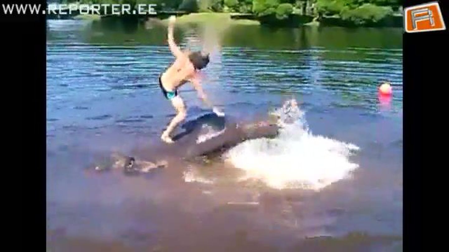 Šokeeriv video: Elevant Medi viimased hingetõmbed Narva jões