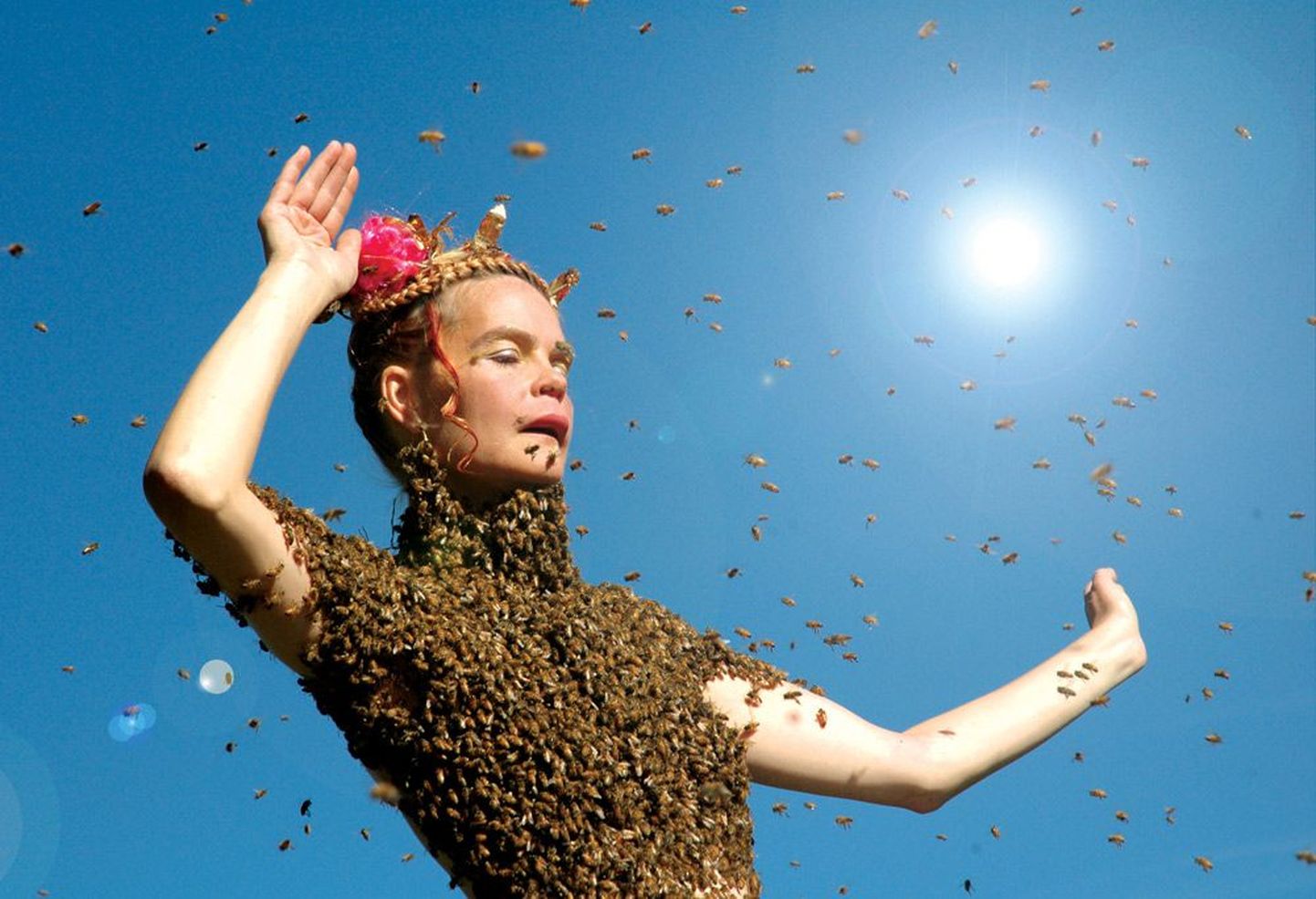 Millest räägivad mesilased: Taggart Siegeli film «Päikesekuninganna» uurib, miks on hakanud mesilaspered lahkuma sealt, kus nad varem on elanud.