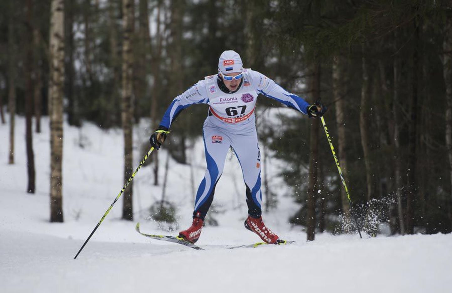 Viljandimaalt pärit Martin Nassar sai Eesti pikamaasuusatamise sarja «Estoloppet» 19. hooaja üldvõidu.