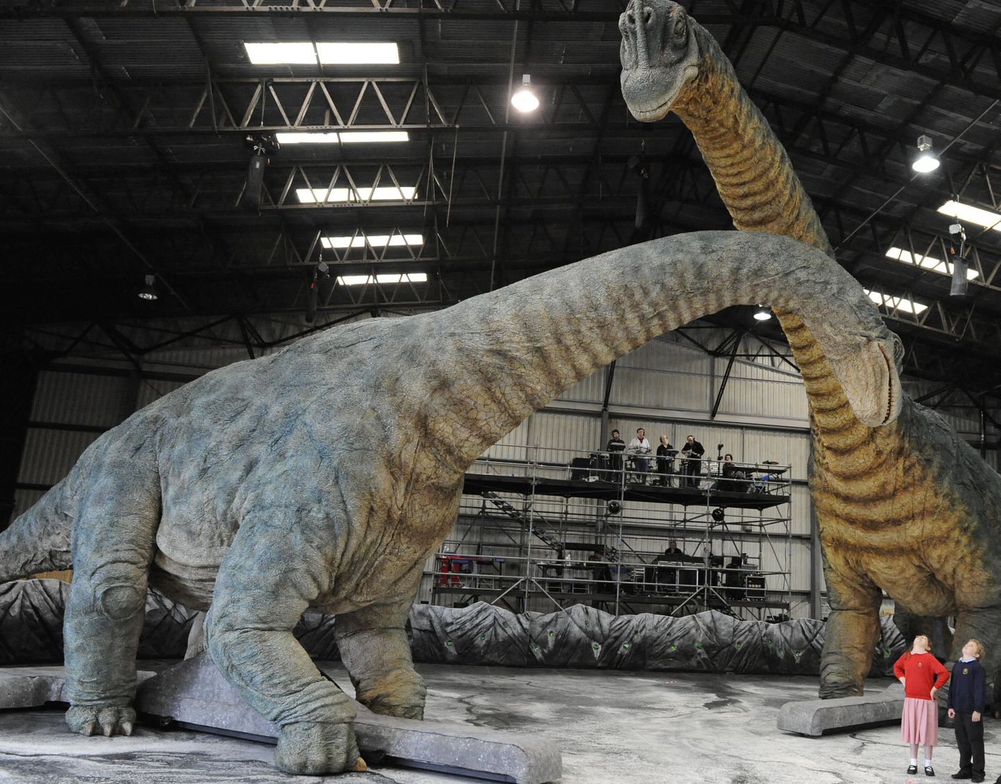 Brahhiosauruse skeleti põhjal on teadlased välja arvutanud, et see dinosaurus kaalus 25 tonni.