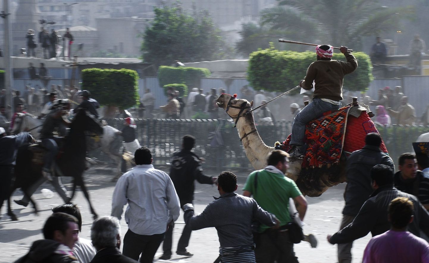 Hosni Mubaraki poolehoidjad hobustel ja kaamelil võitlemas meeleavaldajate vastu Kairos. Foto tehtud 2. veebruaril 2011.