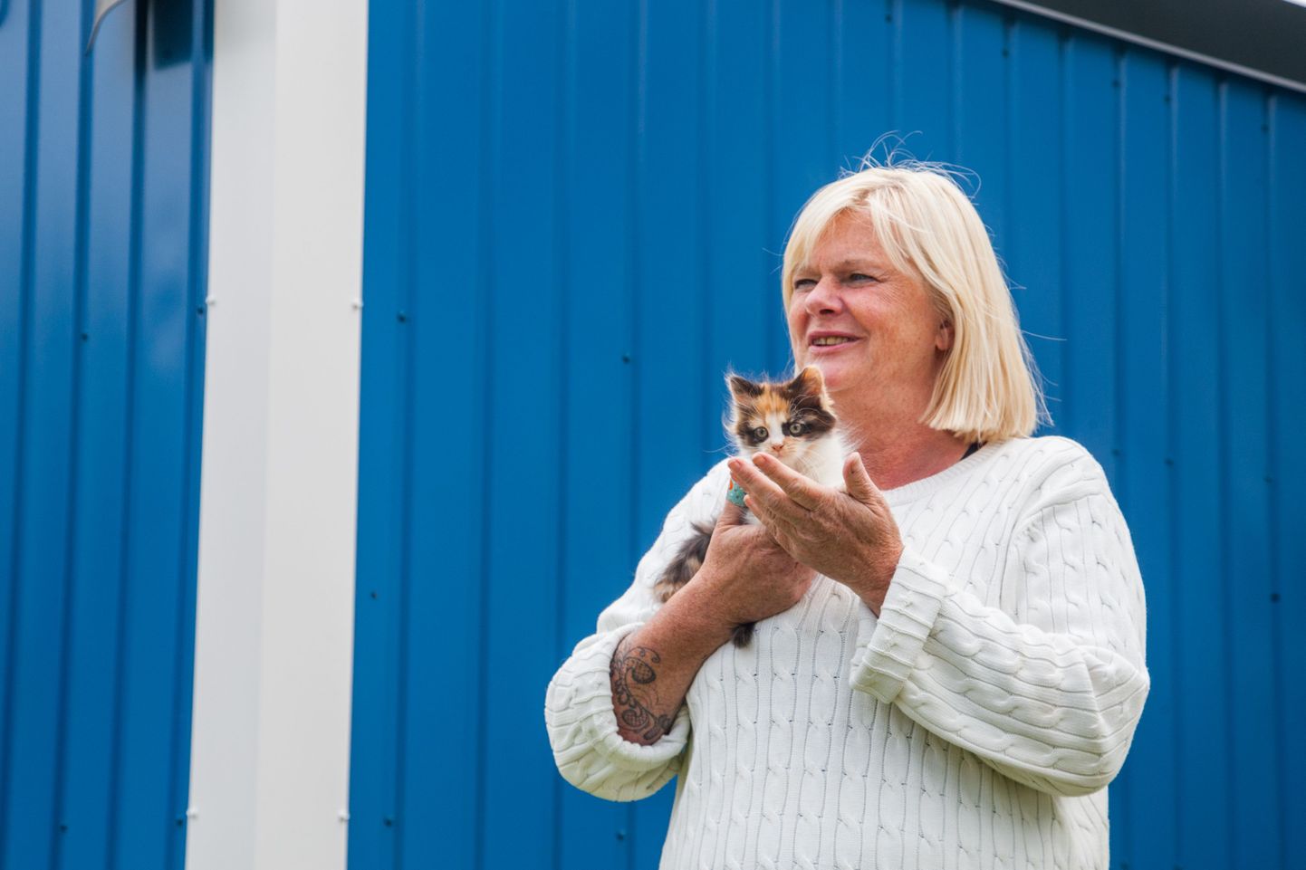 Pärnu loomade varjupaiga administraatori Mari Hagi sõnul on varjupaik pungil kassipoegadest.