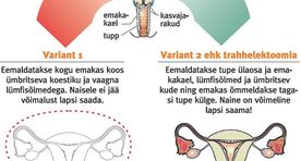 Emakakaelavähk ei pruugi tähendada lastetuks jäämist
