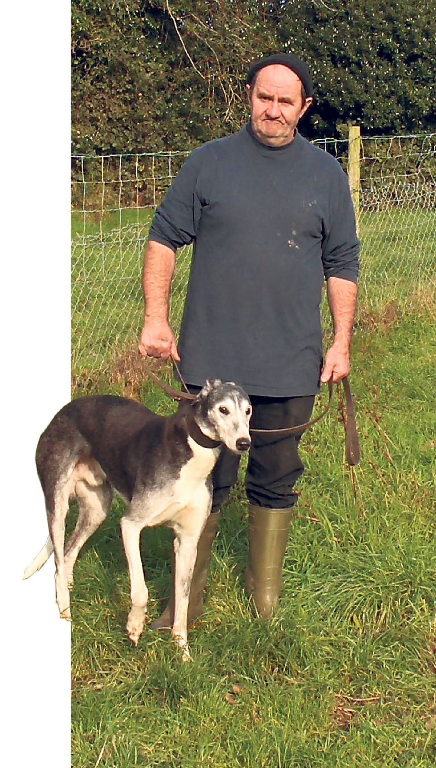 Härra Gerardi lemmikud on Iiri võidujooksuhurdad ehk greyhound ’id.