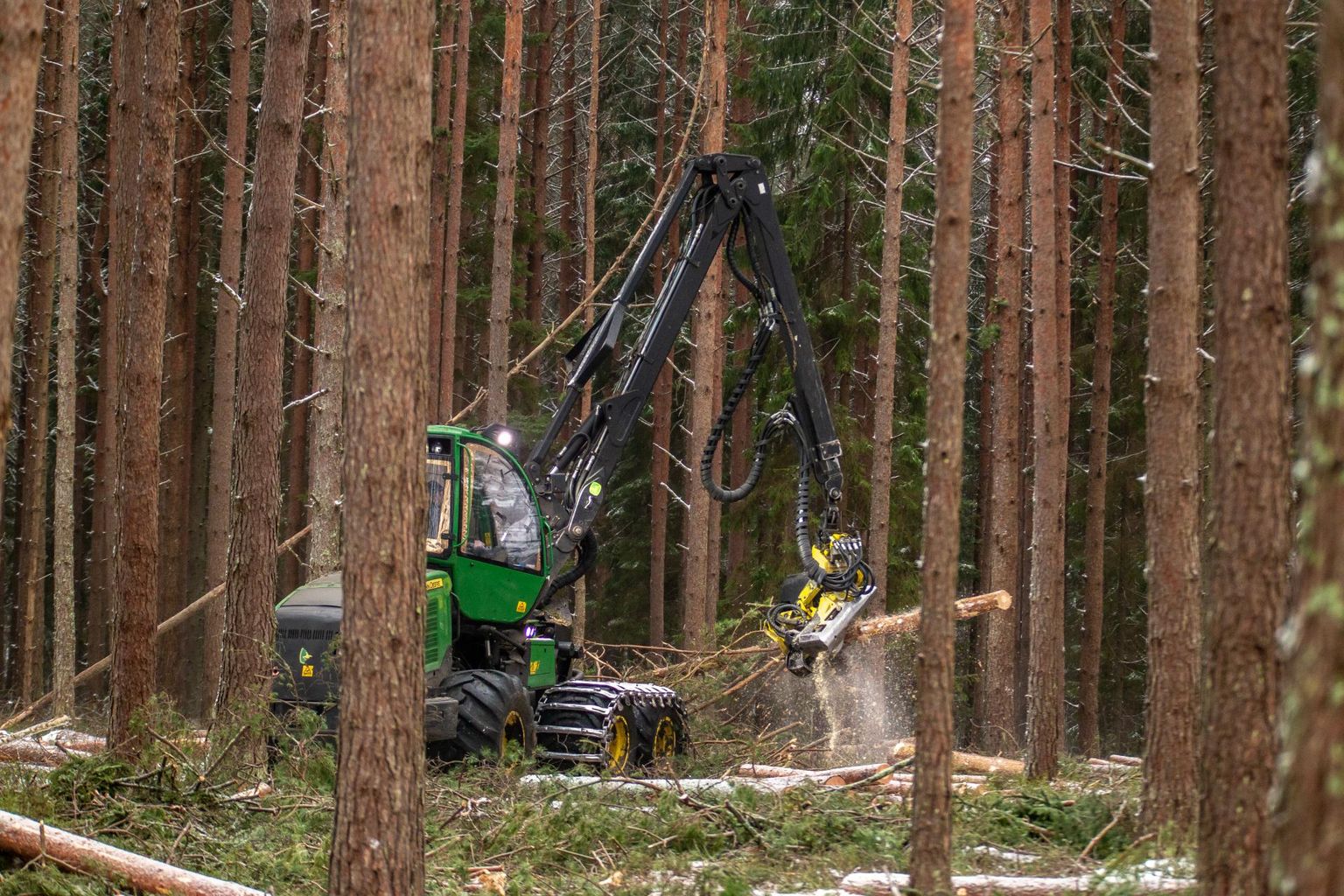 Raitööd Häädemeeste vallas. Inimese elu metsata pole võimalik, metsal inimeseta aga küll.