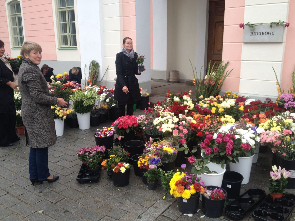 Lilled riigikogu ees kooseluseaduse vastuvõtmise päeval. / Marian Männi / Postimees