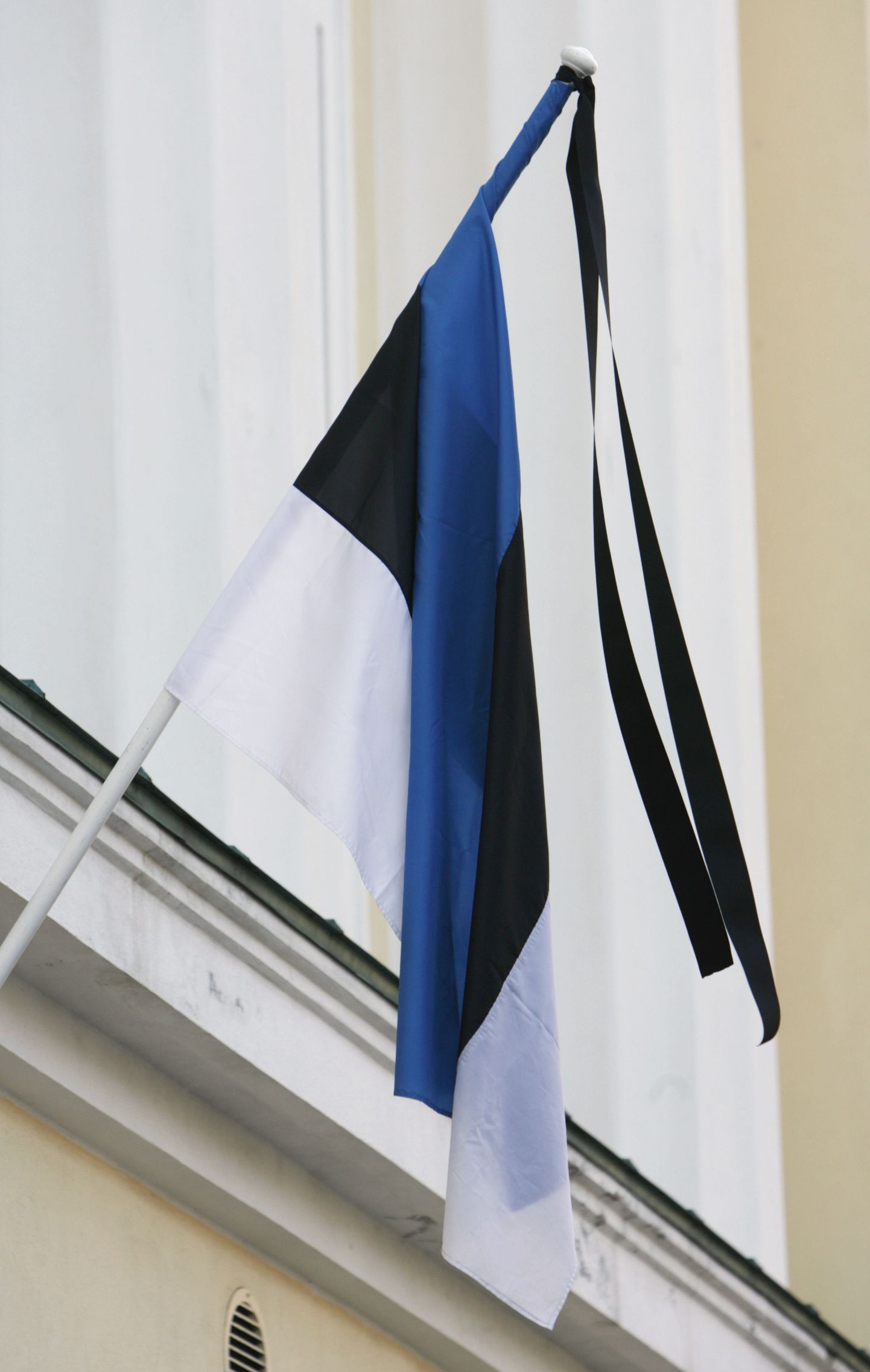 Leinalipuna heisatud Eesti riigilipp.