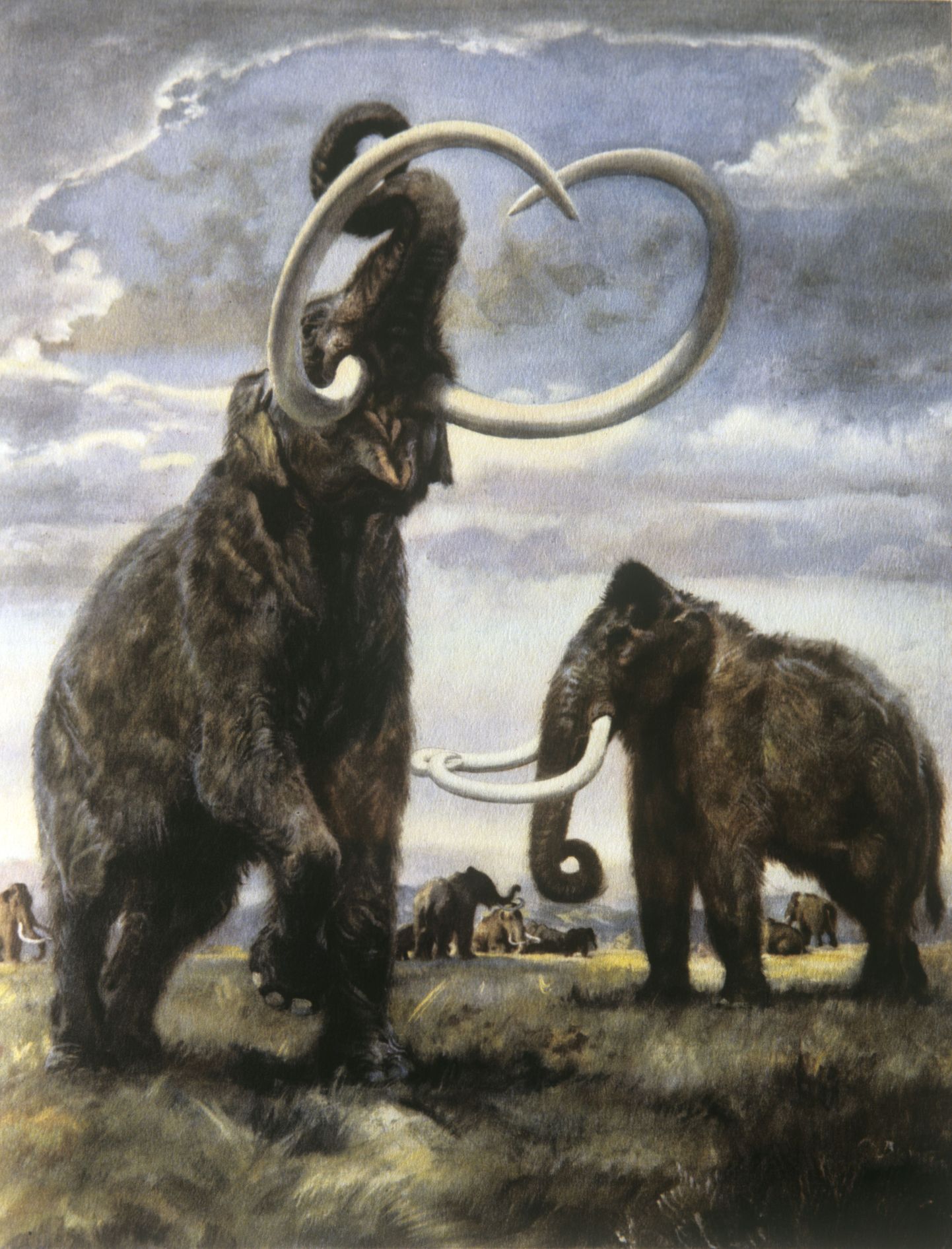 Mammuteid kujutav maal