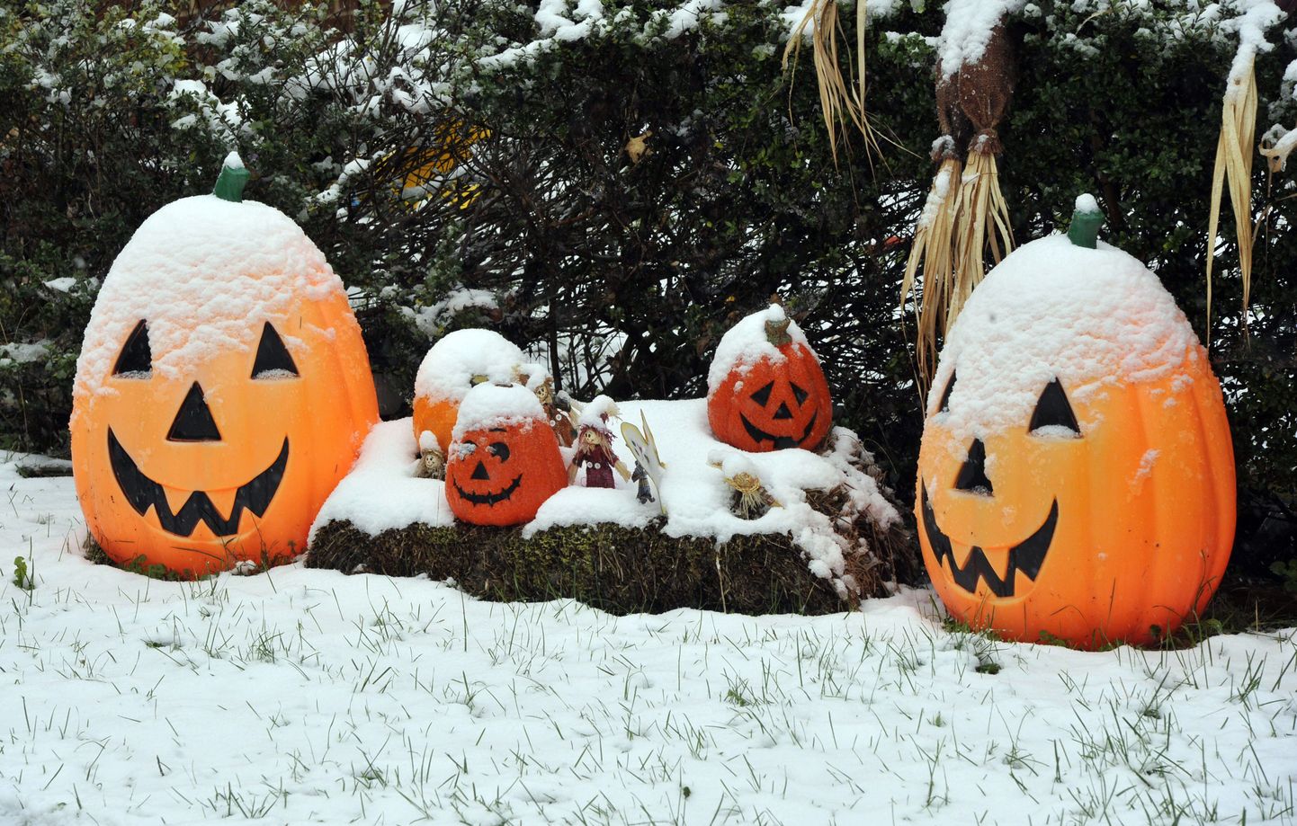 Lumega kaetud Halloweeni dekoratsioonid Westminsteri linnas Marylandis.