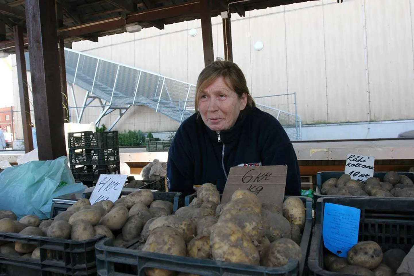 Kui teiste talunike kartulid on üsna väiksed, siis Hilja Ojamets saab uhkustada pirakate mugulatega.