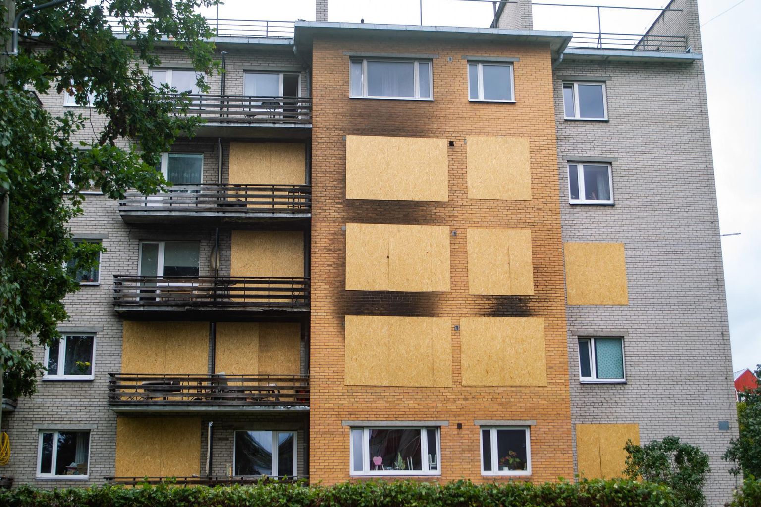 Jaama 77 kortermaja aknaavad on kuni uute klaaside paigaldamiseni kaetud plaatidega, et tuul ja vihm tuppa ei pääseks.