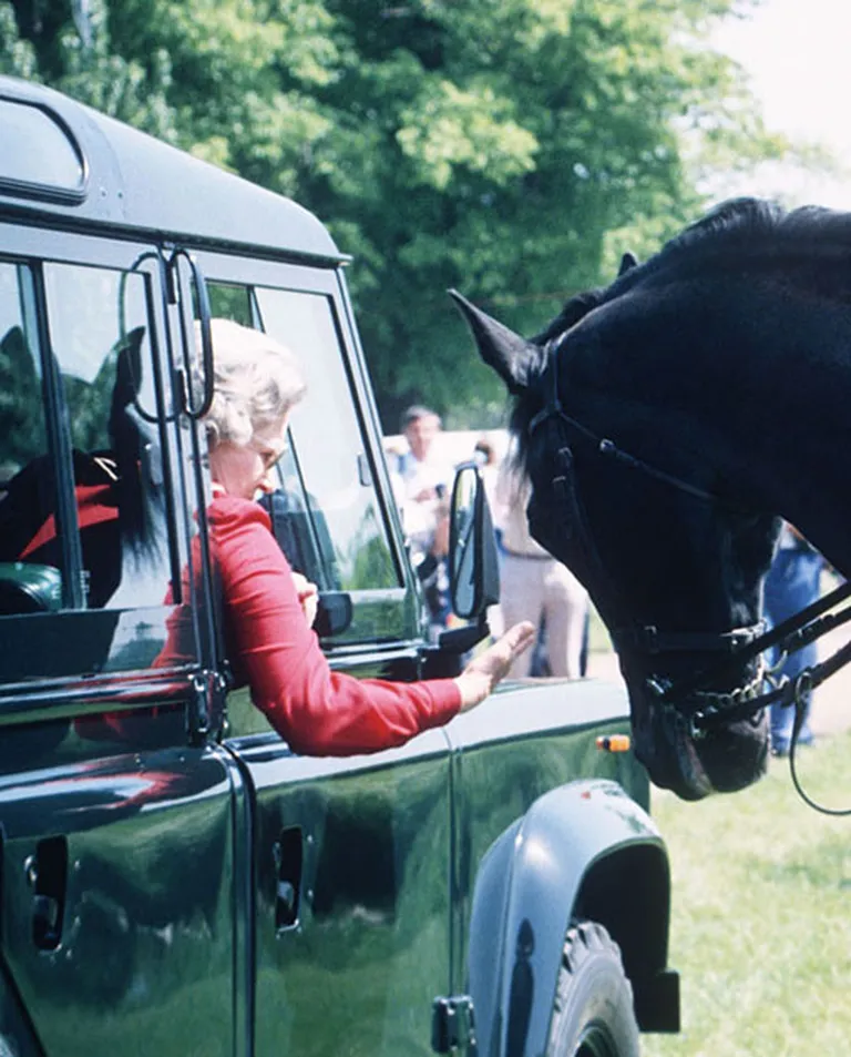 Vindzoras karaliskajā zirgu šovā 1992.gadā 