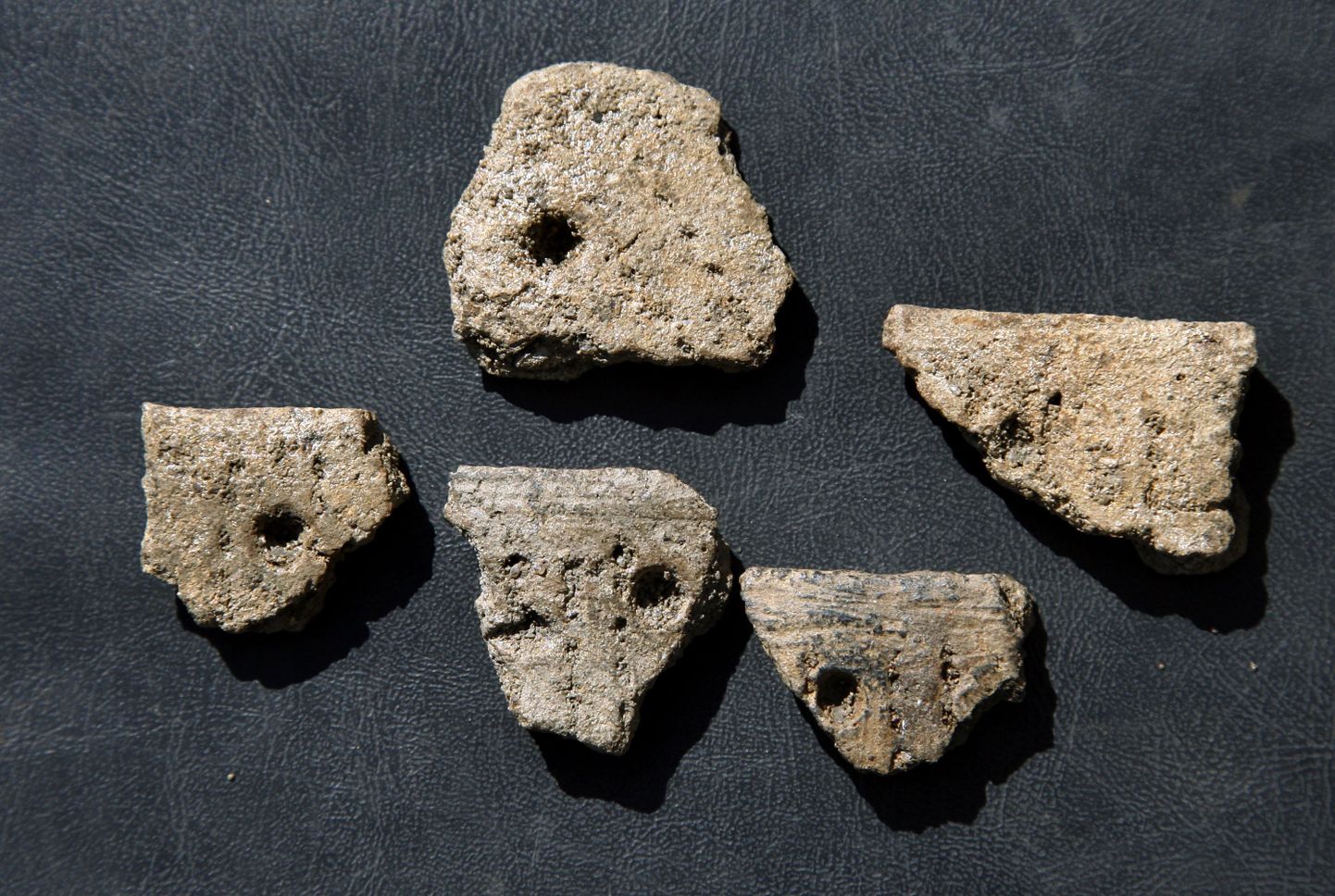 Vabaduse väljaku alt leitud kiviaja inimeste esemed.
