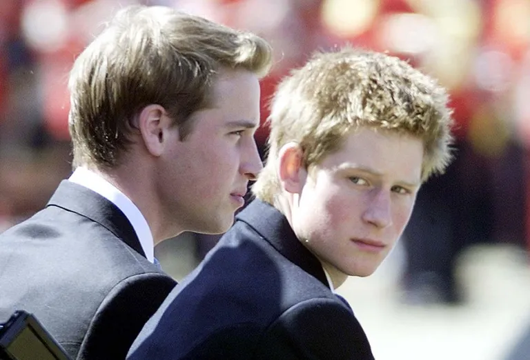 Prints William ja prints Harry 2003. aastal